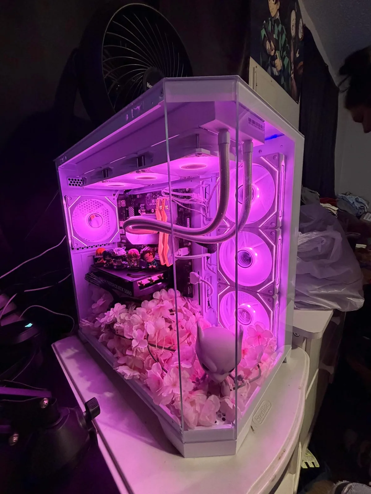 Custom Pink Showcase Build